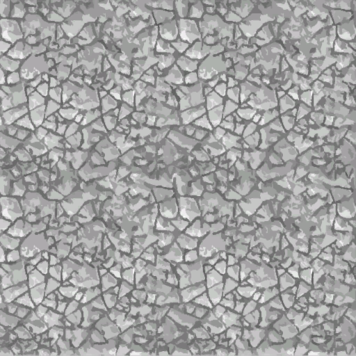 Martetexture