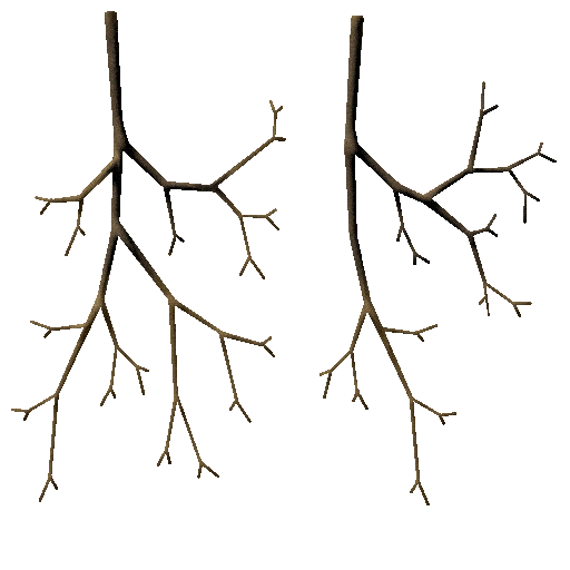 Desierto arbol01 ramas