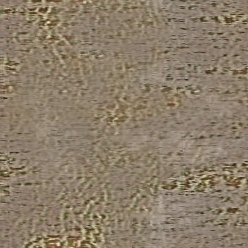 Desierto arbol03 bark