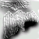 Pelo human 02
