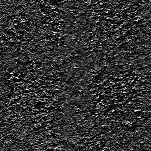 Bosque piedra02 1