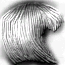 Pelo mina 01