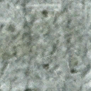 Ancient cupula rota