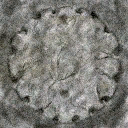 Ancient columna rota