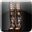 Icon item studded leather leggins