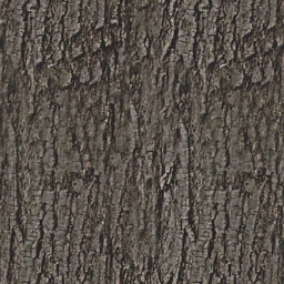 Pantano arbol tronco1