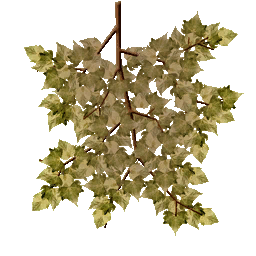 Pradera arbol02