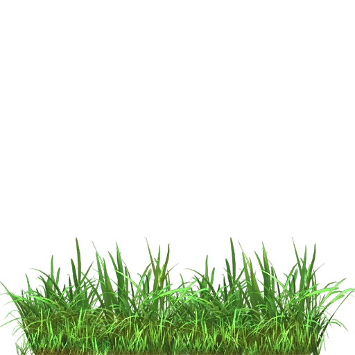 Pasto pradera