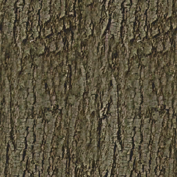 Pantano arbol tronco2