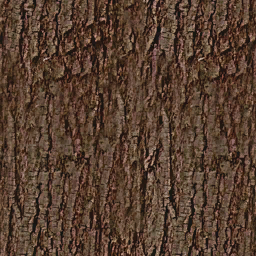 Pradera arbol03 bark