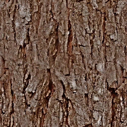 Pradera arbol06 bark