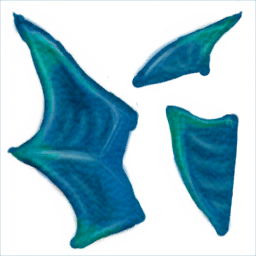 Aquantis aletas