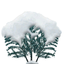 Arbusto nevado