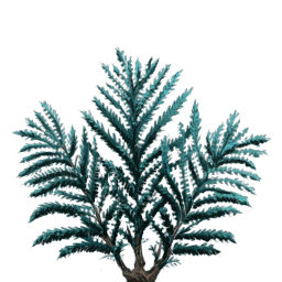 Arbusto oscuro