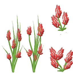 Flor roja