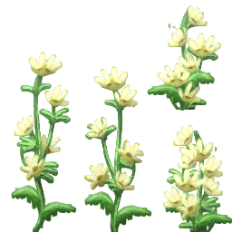 Flor blanca