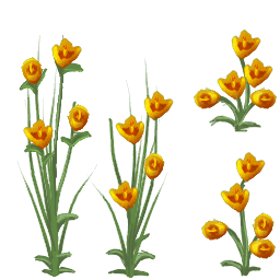 Flor naranja