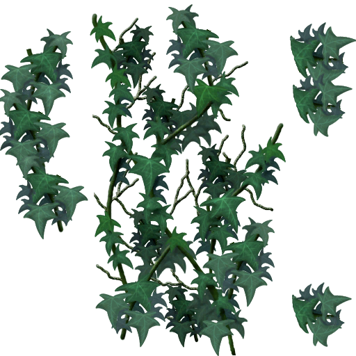 Enredadera1