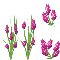 Flor violeta
