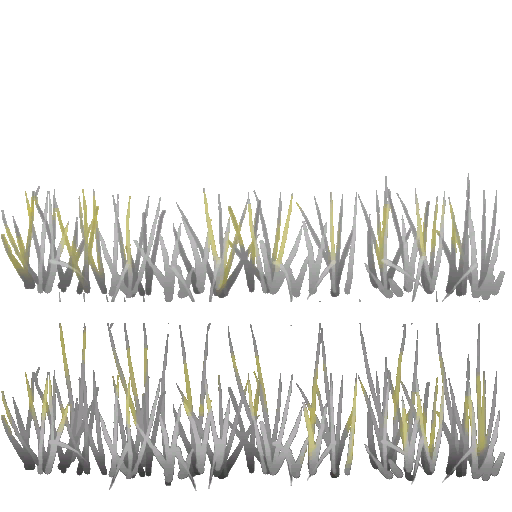 Pasto amarillo