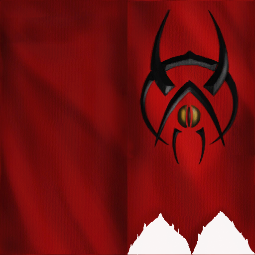 Bandera larga ignis2