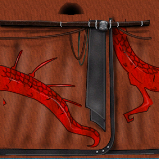 Pc tunica dragon pollera