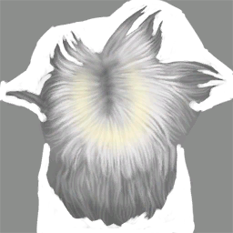Pelo frente final