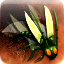 Icon power beetle swarm