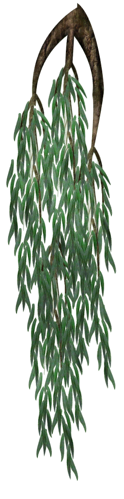 Hojas pantano 2
