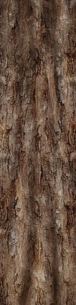 Tronco largo bosque