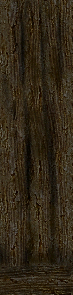 Tronco seco 2