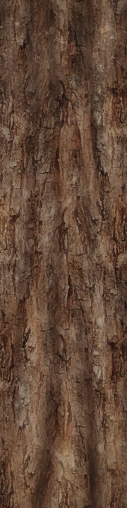 Tronco corto bosque