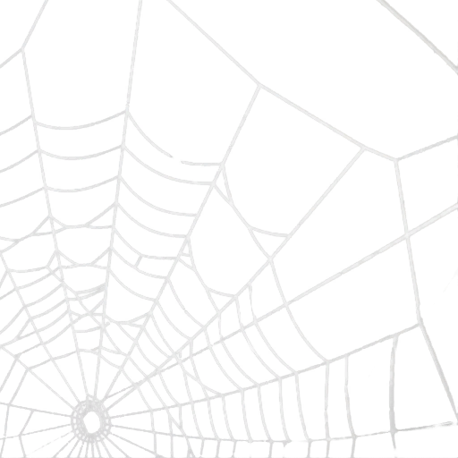 Spider web1