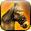 Icon premium horse heavy alsius