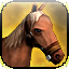 Icon premium horse light alsius