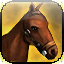 Icon premium horse light ignis