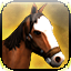 Icon premium horse light syrtis