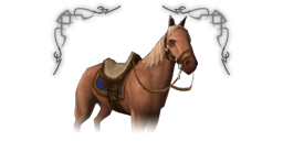 Caballo alsius