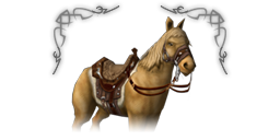 Caballo alsius high