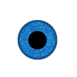 Ojo