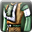 Icon item Dragon green d tunic