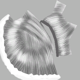 Pelo humano hombre 02