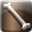 Icon misc Bone q1