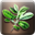Icon misc Herb q