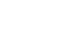 Fobotest insecto5