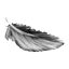Fobotest pluma