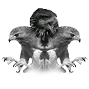 Fobotest falcon