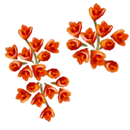 Flores rojas