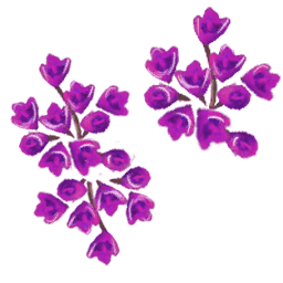 Flores violetas