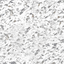 Forja carbon